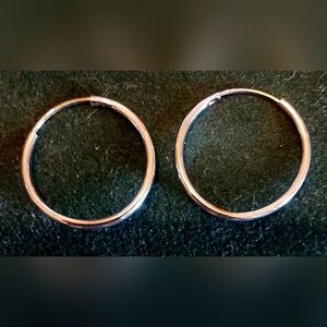 Elegant Silver Hoop Earrings